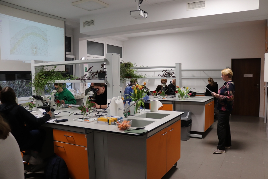 Zdjęcie ilustracyjne