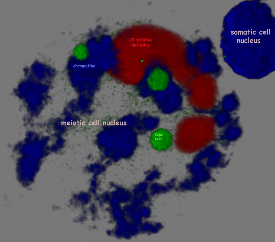 Zdjęcie ilustracyjne