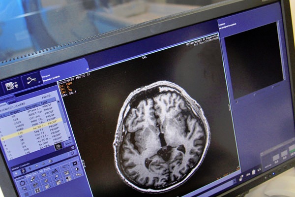 [fot. Andrzej Romański]