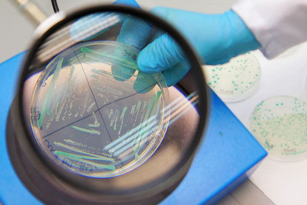 [fot. Andrzej Romański]