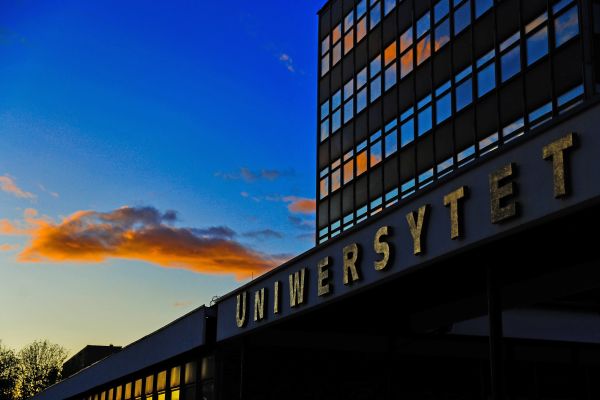 [fot. Andrzej Romański]