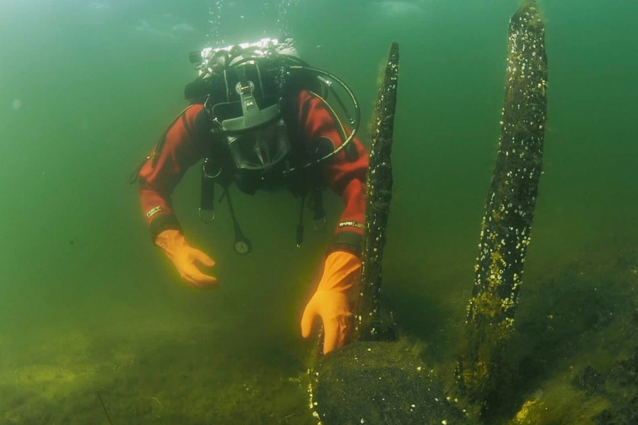 Archeolog podwodny egzaminujący konstrukcje drewniane wczesnośredniowiecznego portu [fot. Marcin Trzciński]
