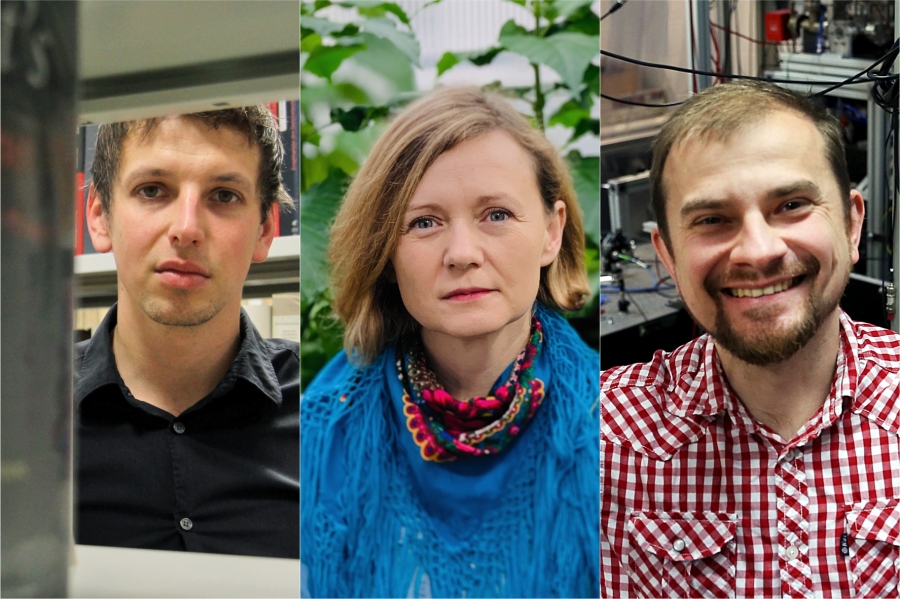 [fot. Andrzej Romańskix2, nadesłane]